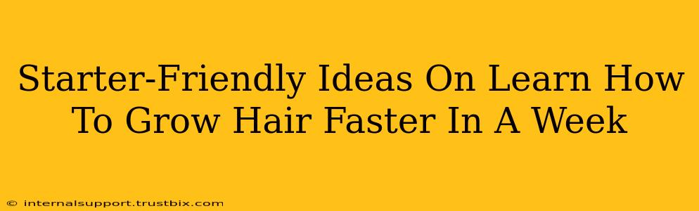 Starter-Friendly Ideas On Learn How To Grow Hair Faster In A Week