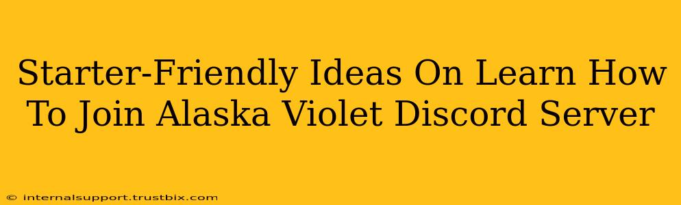 Starter-Friendly Ideas On Learn How To Join Alaska Violet Discord Server