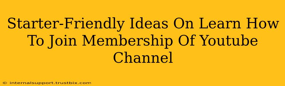 Starter-Friendly Ideas On Learn How To Join Membership Of Youtube Channel