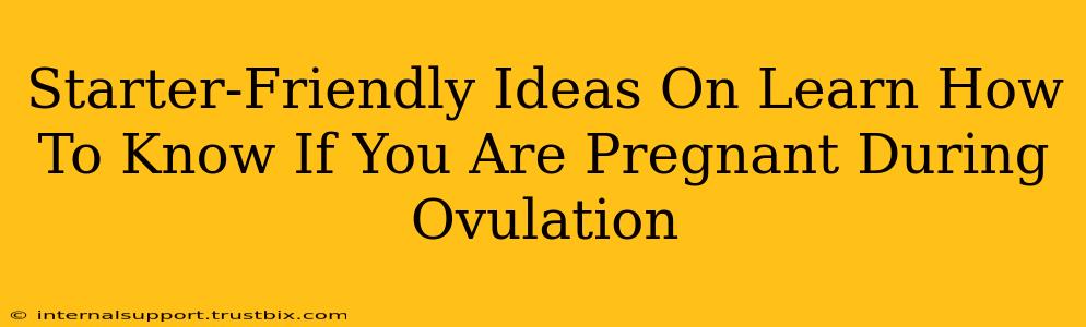 Starter-Friendly Ideas On Learn How To Know If You Are Pregnant During Ovulation