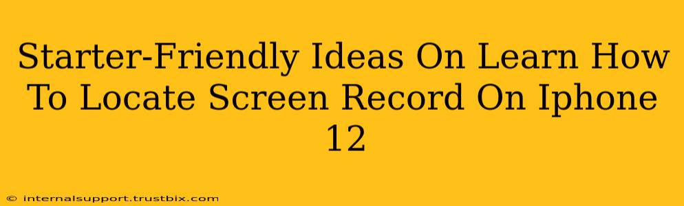 Starter-Friendly Ideas On Learn How To Locate Screen Record On Iphone 12