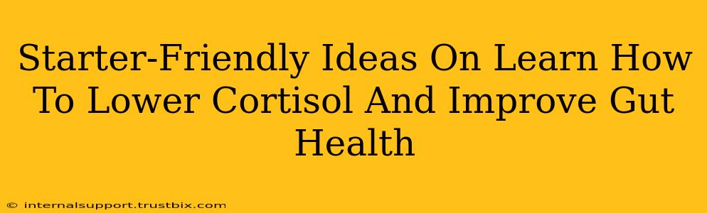 Starter-Friendly Ideas On Learn How To Lower Cortisol And Improve Gut Health