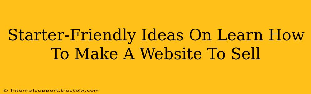 Starter-Friendly Ideas On Learn How To Make A Website To Sell