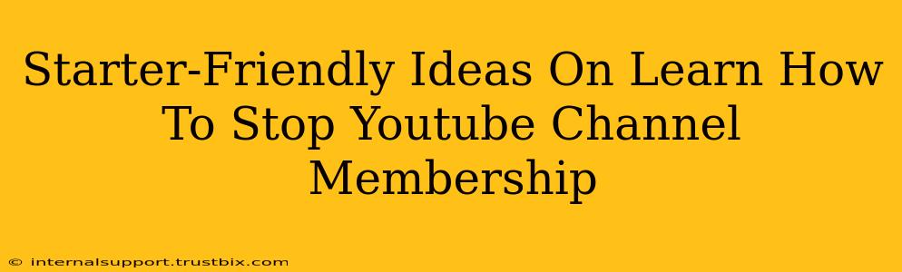 Starter-Friendly Ideas On Learn How To Stop Youtube Channel Membership