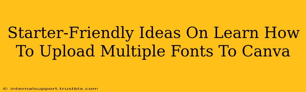 Starter-Friendly Ideas On Learn How To Upload Multiple Fonts To Canva