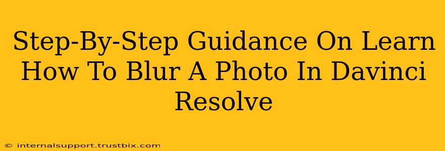Step-By-Step Guidance On Learn How To Blur A Photo In Davinci Resolve