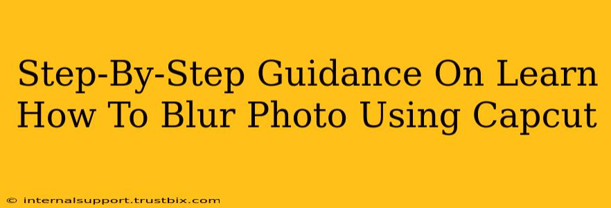 Step-By-Step Guidance On Learn How To Blur Photo Using Capcut