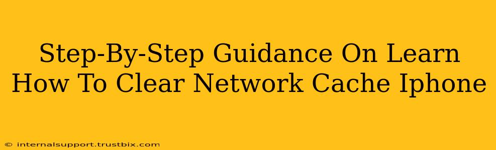 Step-By-Step Guidance On Learn How To Clear Network Cache Iphone