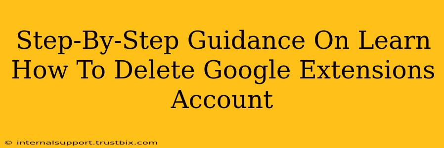 Step-By-Step Guidance On Learn How To Delete Google Extensions Account