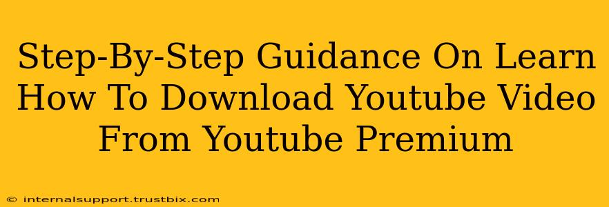 Step-By-Step Guidance On Learn How To Download Youtube Video From Youtube Premium