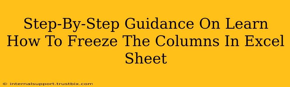 Step-By-Step Guidance On Learn How To Freeze The Columns In Excel Sheet