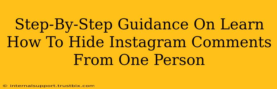 Step-By-Step Guidance On Learn How To Hide Instagram Comments From One Person