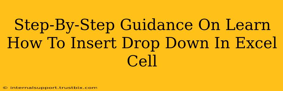 Step-By-Step Guidance On Learn How To Insert Drop Down In Excel Cell