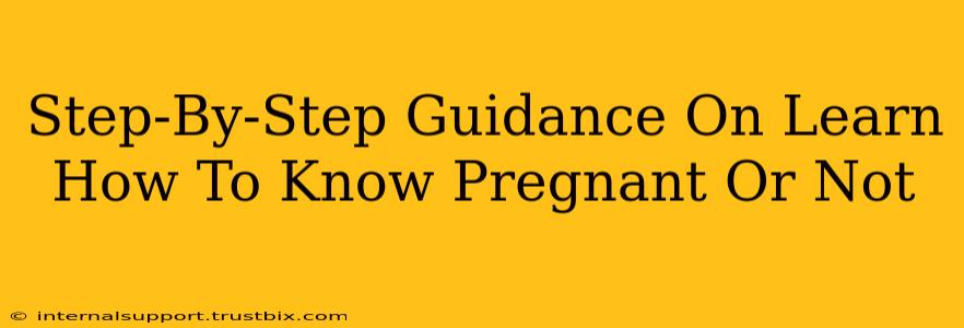 Step-By-Step Guidance On Learn How To Know Pregnant Or Not