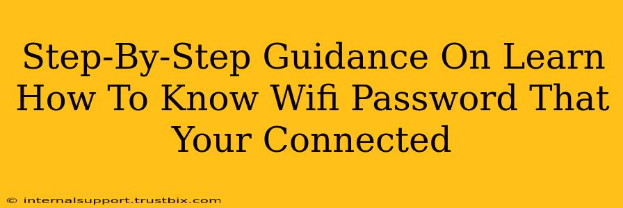 Step-By-Step Guidance On Learn How To Know Wifi Password That Your Connected