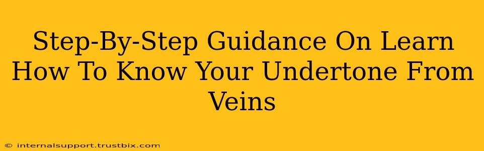 Step-By-Step Guidance On Learn How To Know Your Undertone From Veins