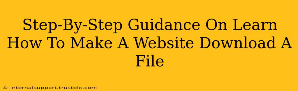 Step-By-Step Guidance On Learn How To Make A Website Download A File