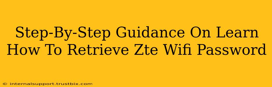 Step-By-Step Guidance On Learn How To Retrieve Zte Wifi Password