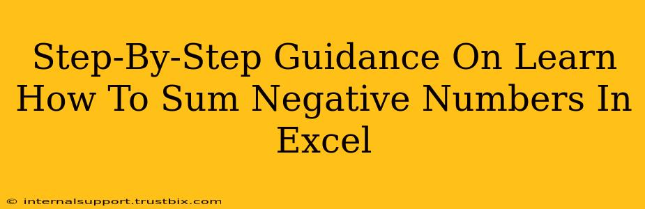 Step-By-Step Guidance On Learn How To Sum Negative Numbers In Excel