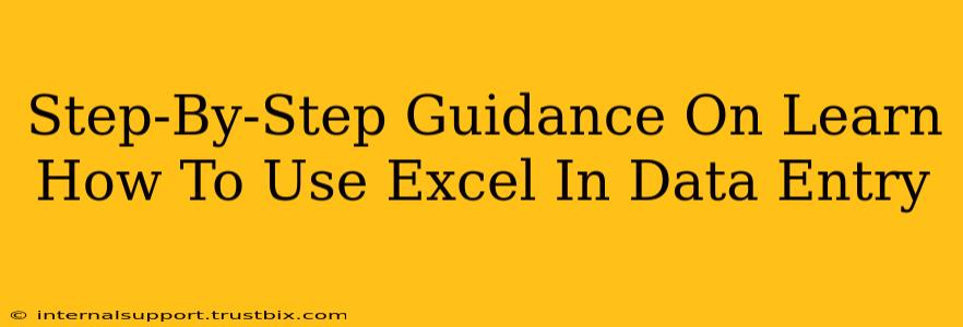 Step-By-Step Guidance On Learn How To Use Excel In Data Entry