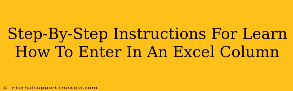 Step-By-Step Instructions For Learn How To Enter In An Excel Column