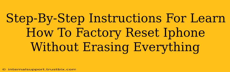 Step-By-Step Instructions For Learn How To Factory Reset Iphone Without Erasing Everything