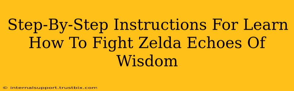 Step-By-Step Instructions For Learn How To Fight Zelda Echoes Of Wisdom