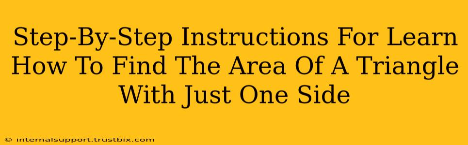 Step-By-Step Instructions For Learn How To Find The Area Of A Triangle With Just One Side