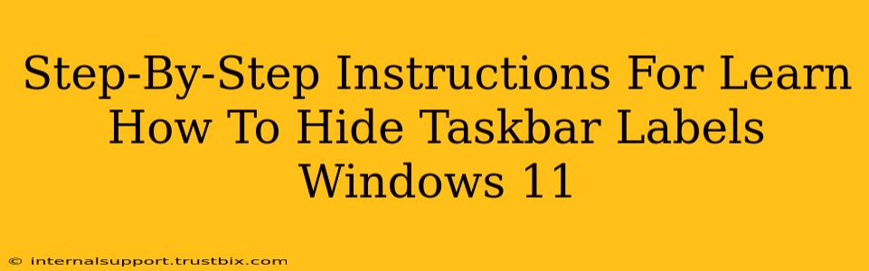 Step-By-Step Instructions For Learn How To Hide Taskbar Labels Windows 11