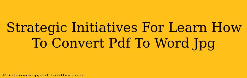 Strategic Initiatives For Learn How To Convert Pdf To Word Jpg