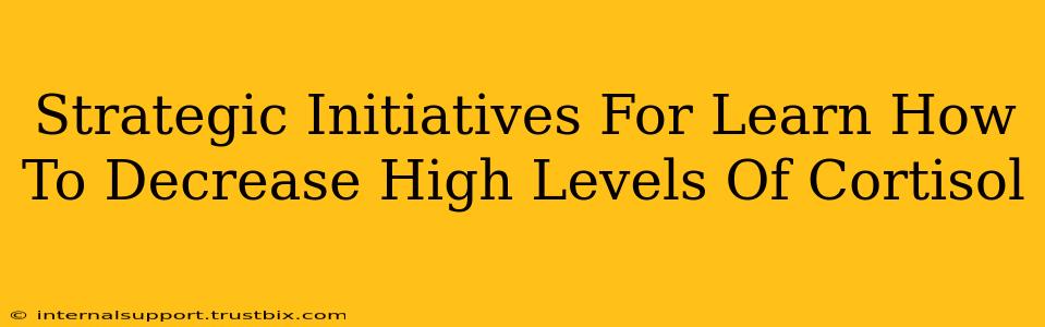 Strategic Initiatives For Learn How To Decrease High Levels Of Cortisol