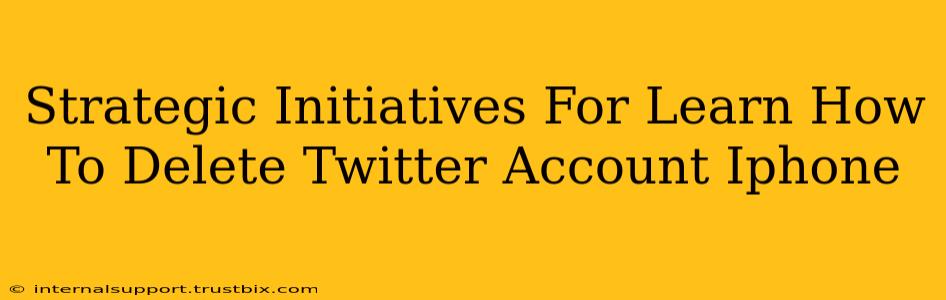 Strategic Initiatives For Learn How To Delete Twitter Account Iphone