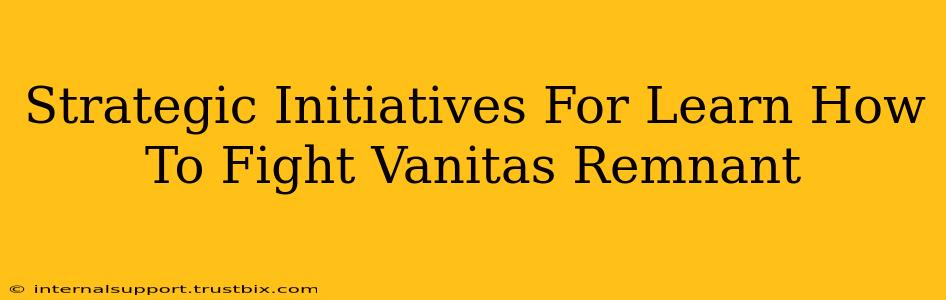 Strategic Initiatives For Learn How To Fight Vanitas Remnant