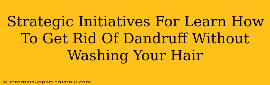 Strategic Initiatives For Learn How To Get Rid Of Dandruff Without Washing Your Hair