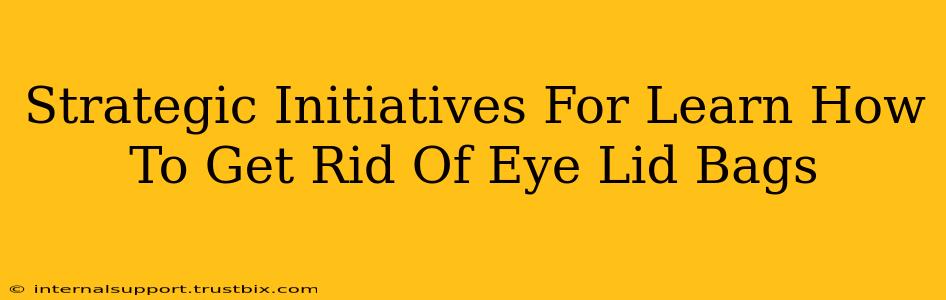 Strategic Initiatives For Learn How To Get Rid Of Eye Lid Bags