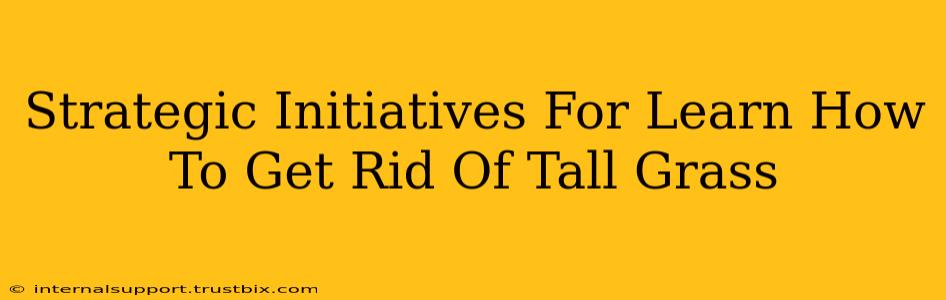 Strategic Initiatives For Learn How To Get Rid Of Tall Grass