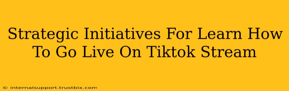 Strategic Initiatives For Learn How To Go Live On Tiktok Stream