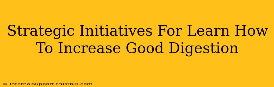 Strategic Initiatives For Learn How To Increase Good Digestion