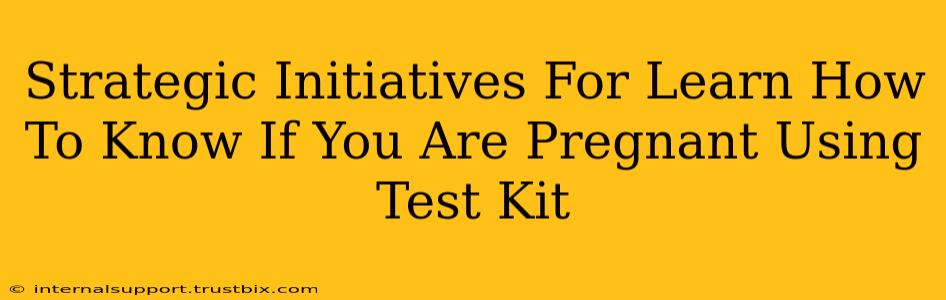 Strategic Initiatives For Learn How To Know If You Are Pregnant Using Test Kit