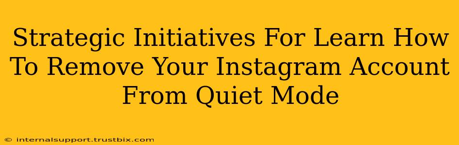 Strategic Initiatives For Learn How To Remove Your Instagram Account From Quiet Mode