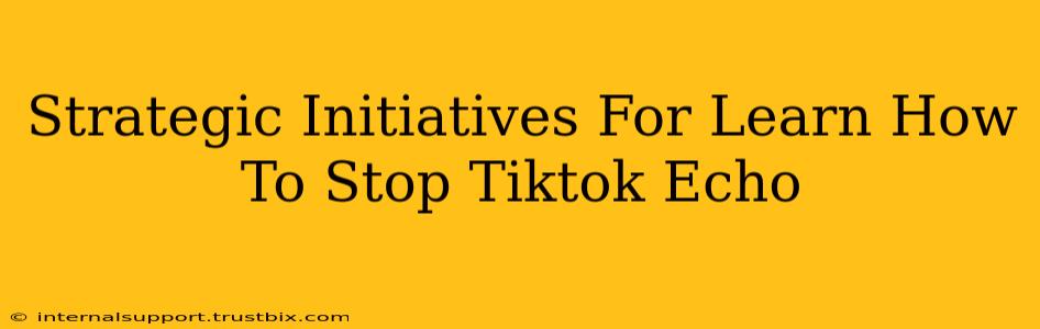 Strategic Initiatives For Learn How To Stop Tiktok Echo