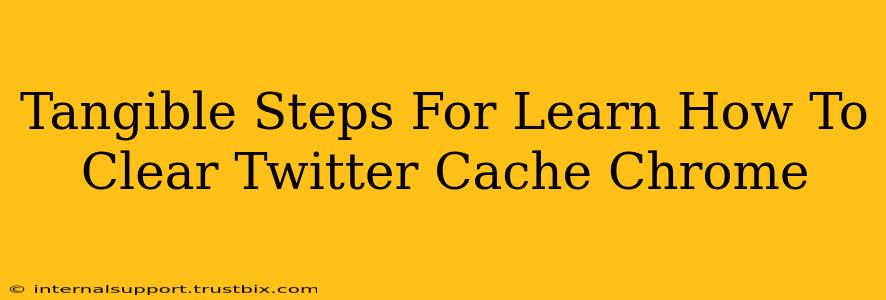 Tangible Steps For Learn How To Clear Twitter Cache Chrome