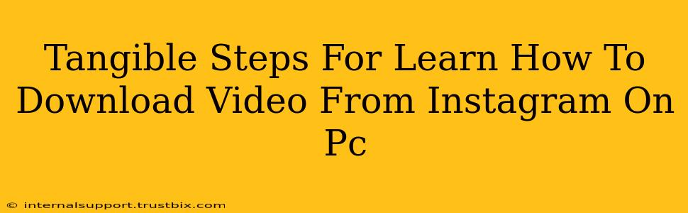 Tangible Steps For Learn How To Download Video From Instagram On Pc