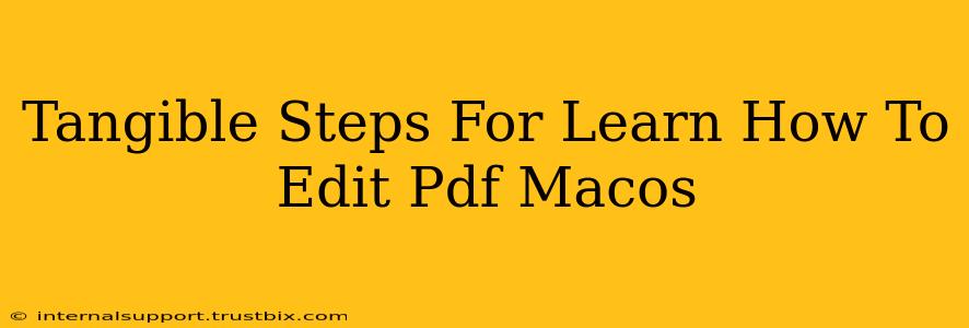 Tangible Steps For Learn How To Edit Pdf Macos