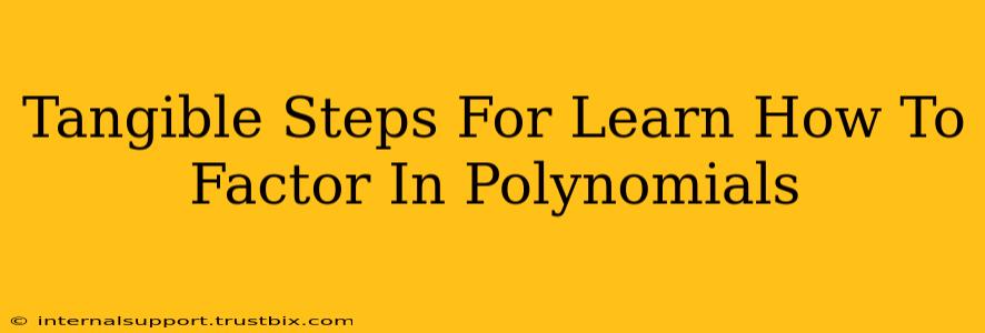 Tangible Steps For Learn How To Factor In Polynomials