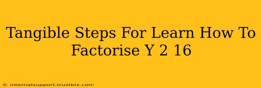 Tangible Steps For Learn How To Factorise Y 2 16