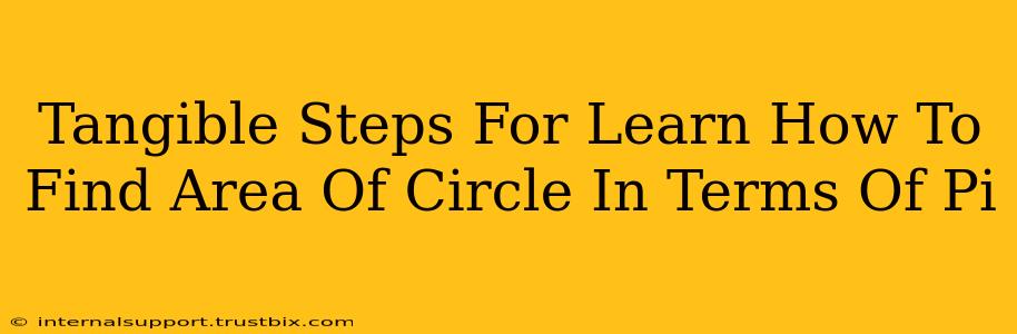 Tangible Steps For Learn How To Find Area Of Circle In Terms Of Pi