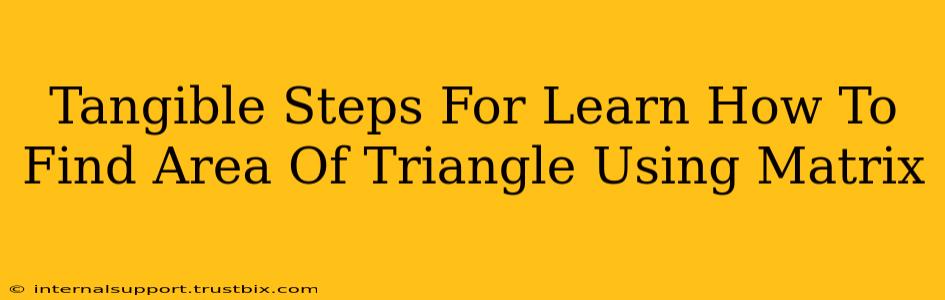 Tangible Steps For Learn How To Find Area Of Triangle Using Matrix