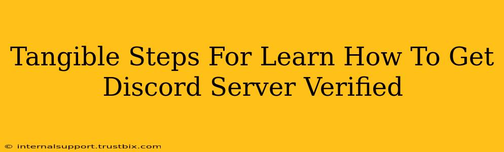 Tangible Steps For Learn How To Get Discord Server Verified