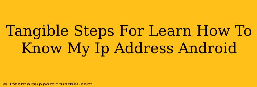 Tangible Steps For Learn How To Know My Ip Address Android